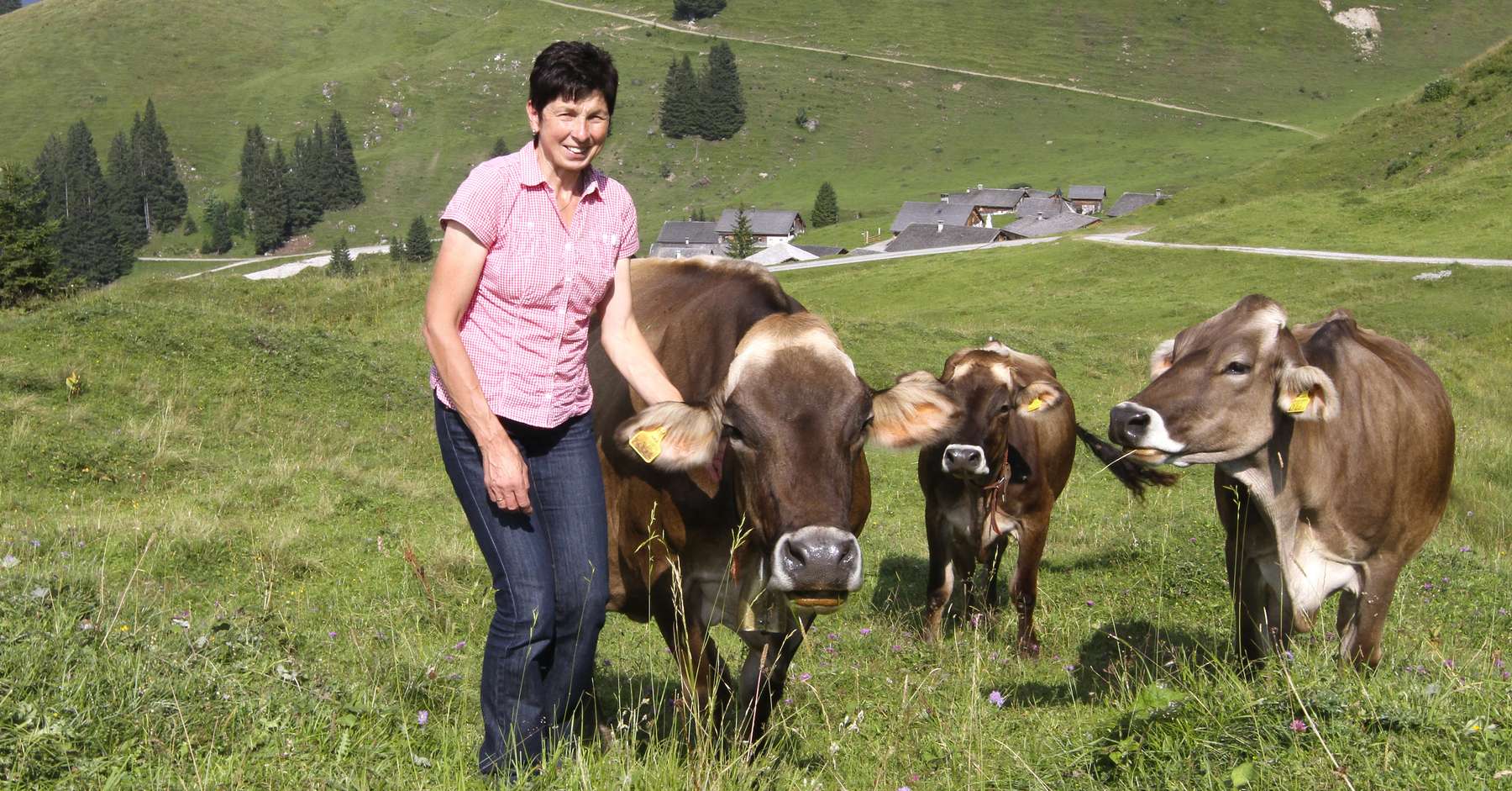 Charta für partnerschaftliche Interessenvertretung.jpg Charta für partnerschaftliche Interessenvertretung.jpg