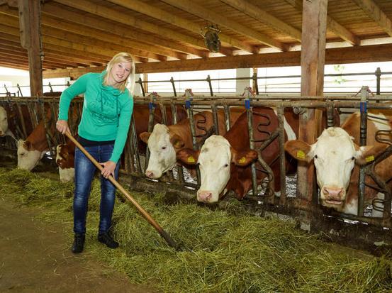 Bäuerin im Stall