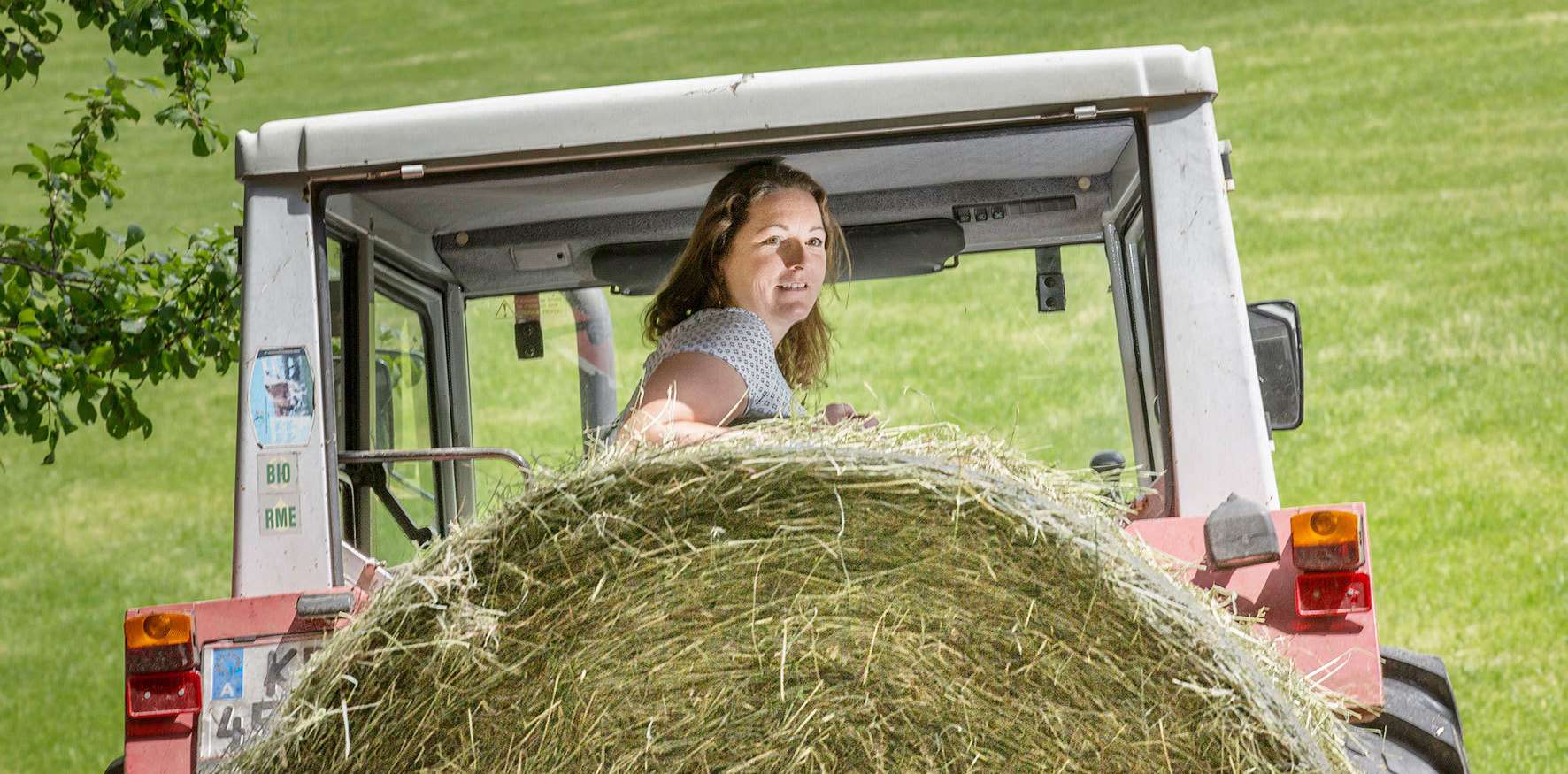 Arbeit 375A7438-Gut.jpg Arbeit 375A7438-Gut.jpg