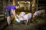 Justine Stromberger beim Schweine füttern.jpg