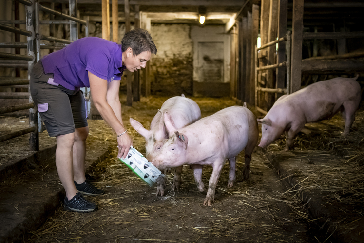 Justine Stromberger beim Schweine füttern.jpg