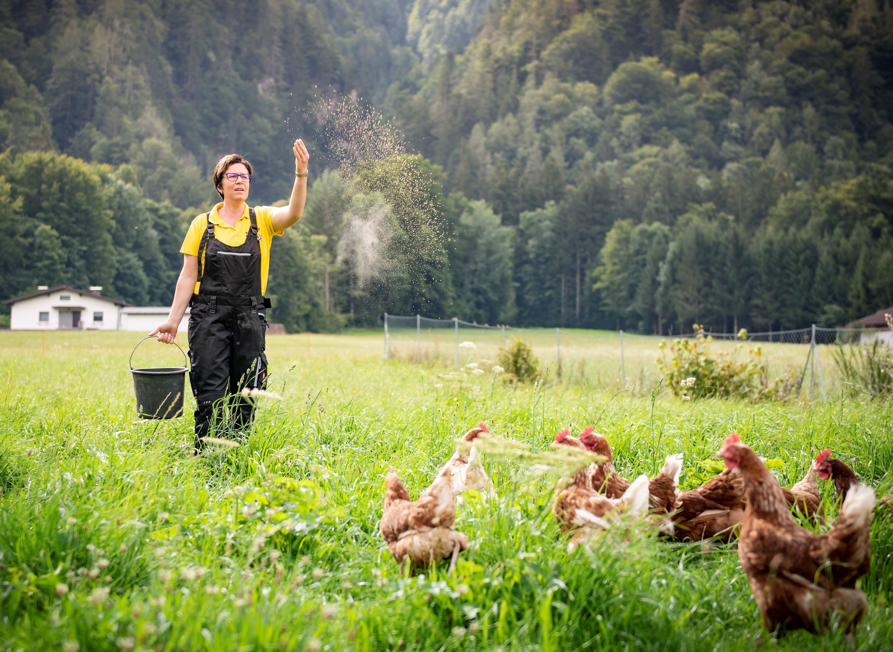 Monika Köchler auf Wiese beim Füttern 1.jpg Monika Köchler auf Wiese beim Füttern 1.jpg