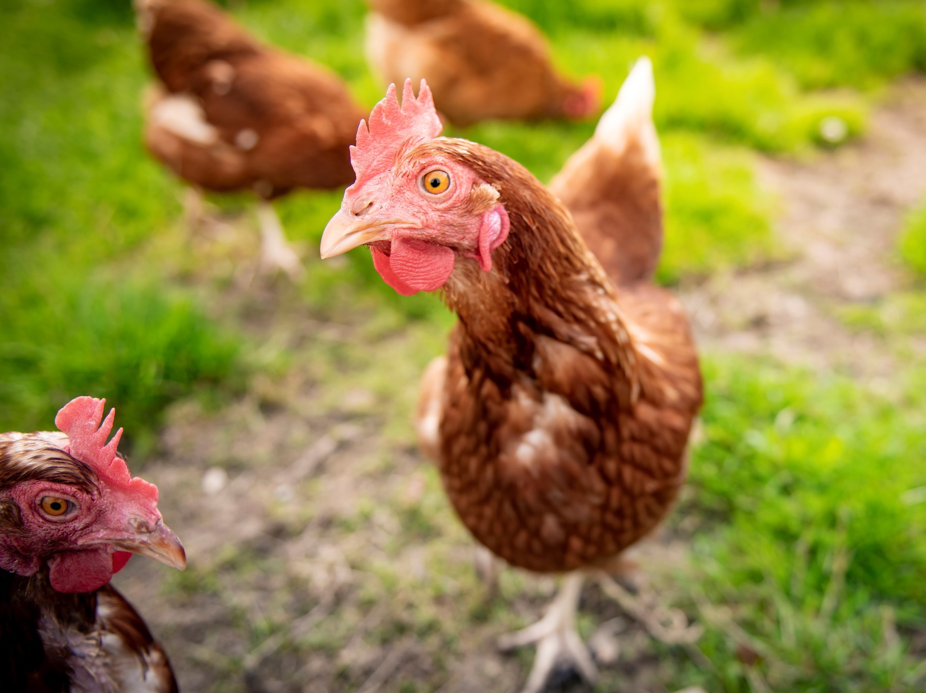 Monika Köchlers Mitarbeiterinnen.jpg Monika Köchlers Mitarbeiterinnen.jpg