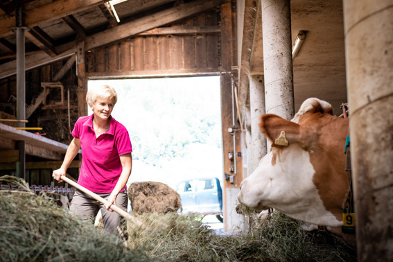 Wirlphoto Scheiber 20190809-17Kühe füttern.jpg Wirlphoto Scheiber 20190809-17Kühe füttern.jpg