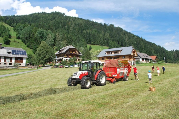 Seidlhof Familie Schabus  Bad Kleinklirchheim.jpg