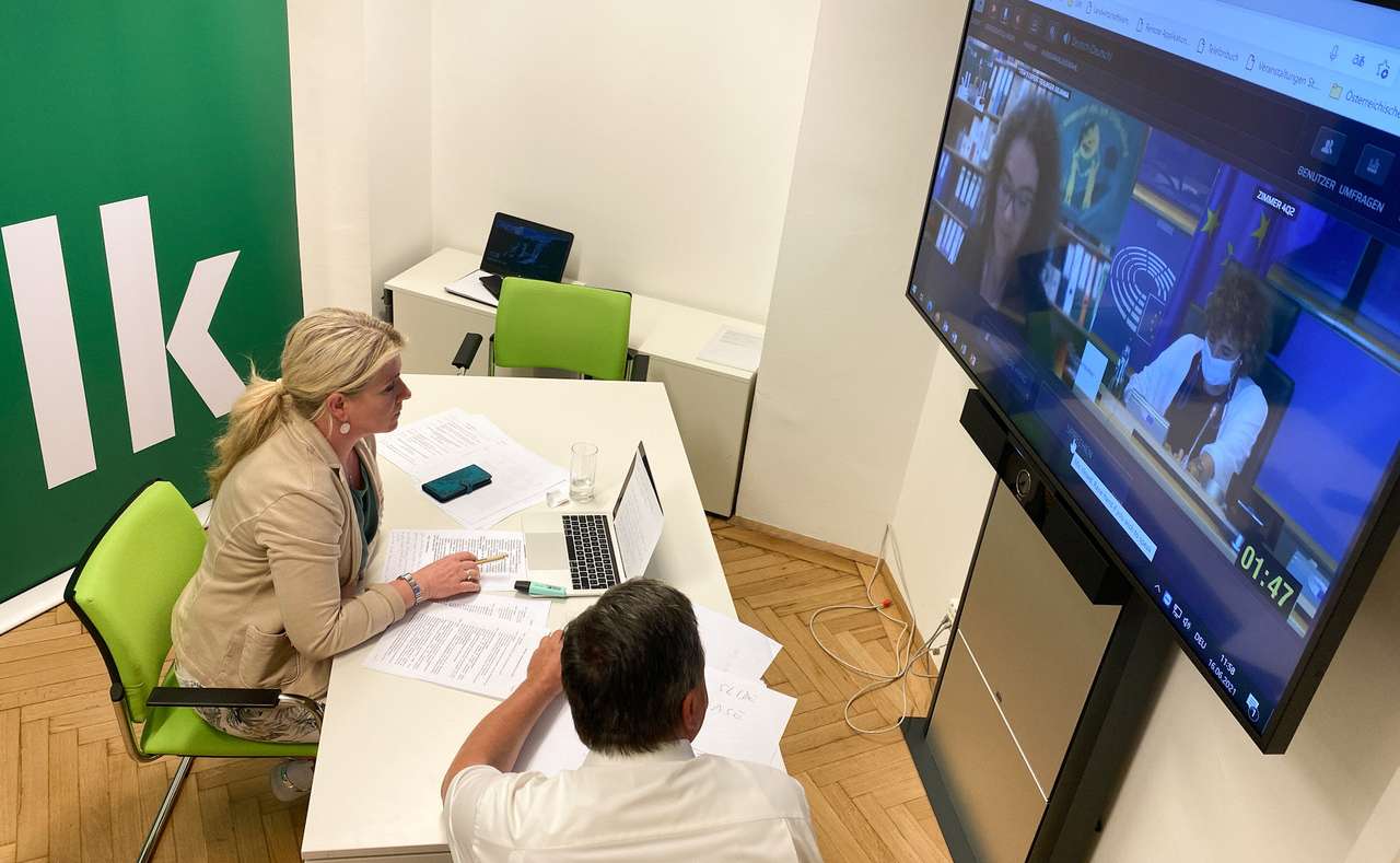 Irene Neumann-Hartberger beim Online-Hearing 2021 Irene Neumann-Hartberger beim Online-Hearing 2021