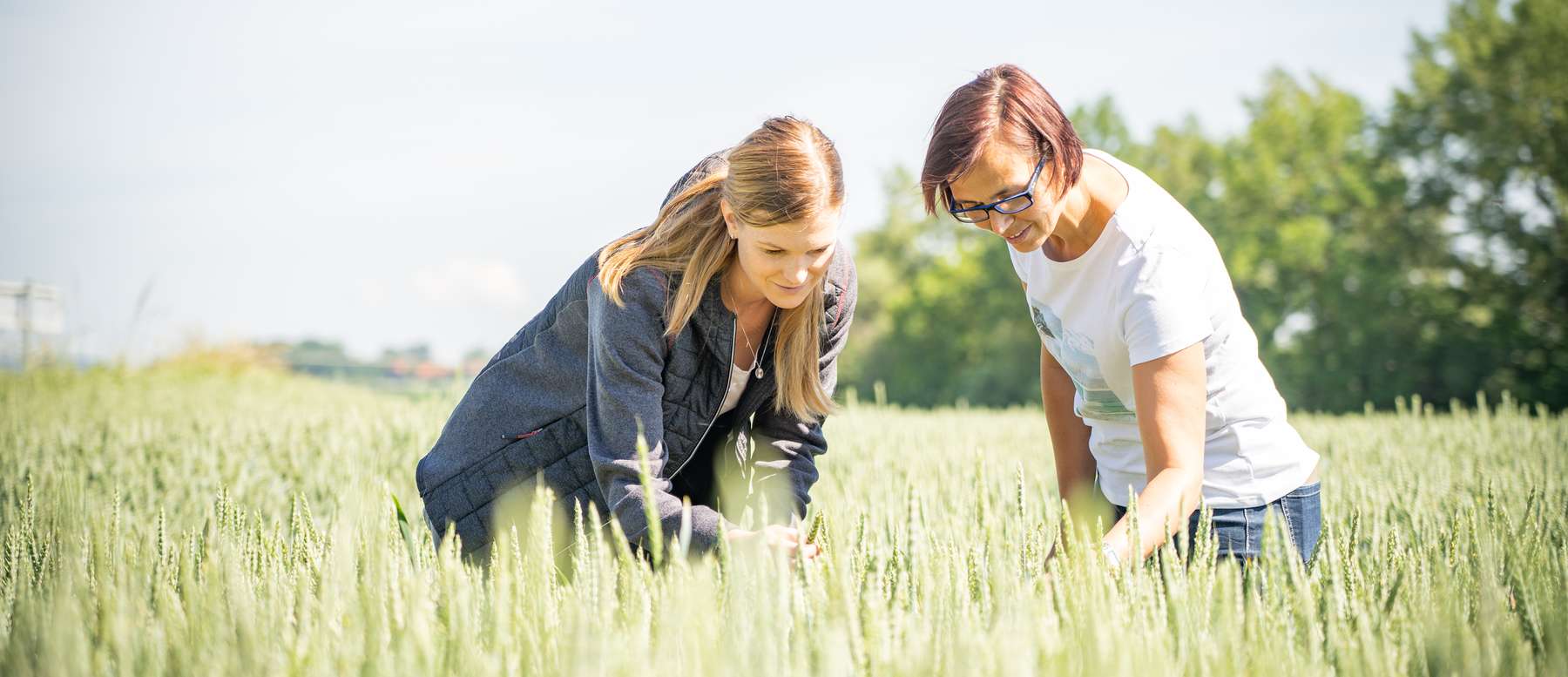 Titelfoto Einladung BBT.jpg Titelfoto Einladung BBT.jpg