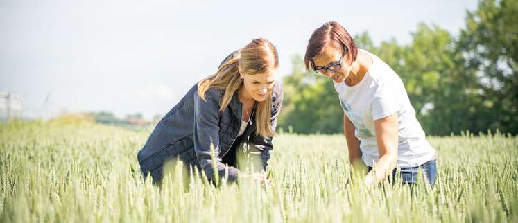 Titelfoto Einladung BBT.jpg Titelfoto Einladung BBT.jpg