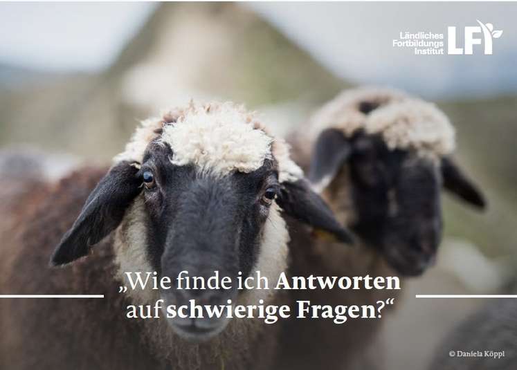 Argumentationskarten1 (1).jpg