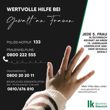 Sharepic Gewalt gegen Frauen 1
