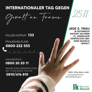 Sharepic Gewalt gegen Frauen 2 Sharepic Gewalt gegen Frauen 2