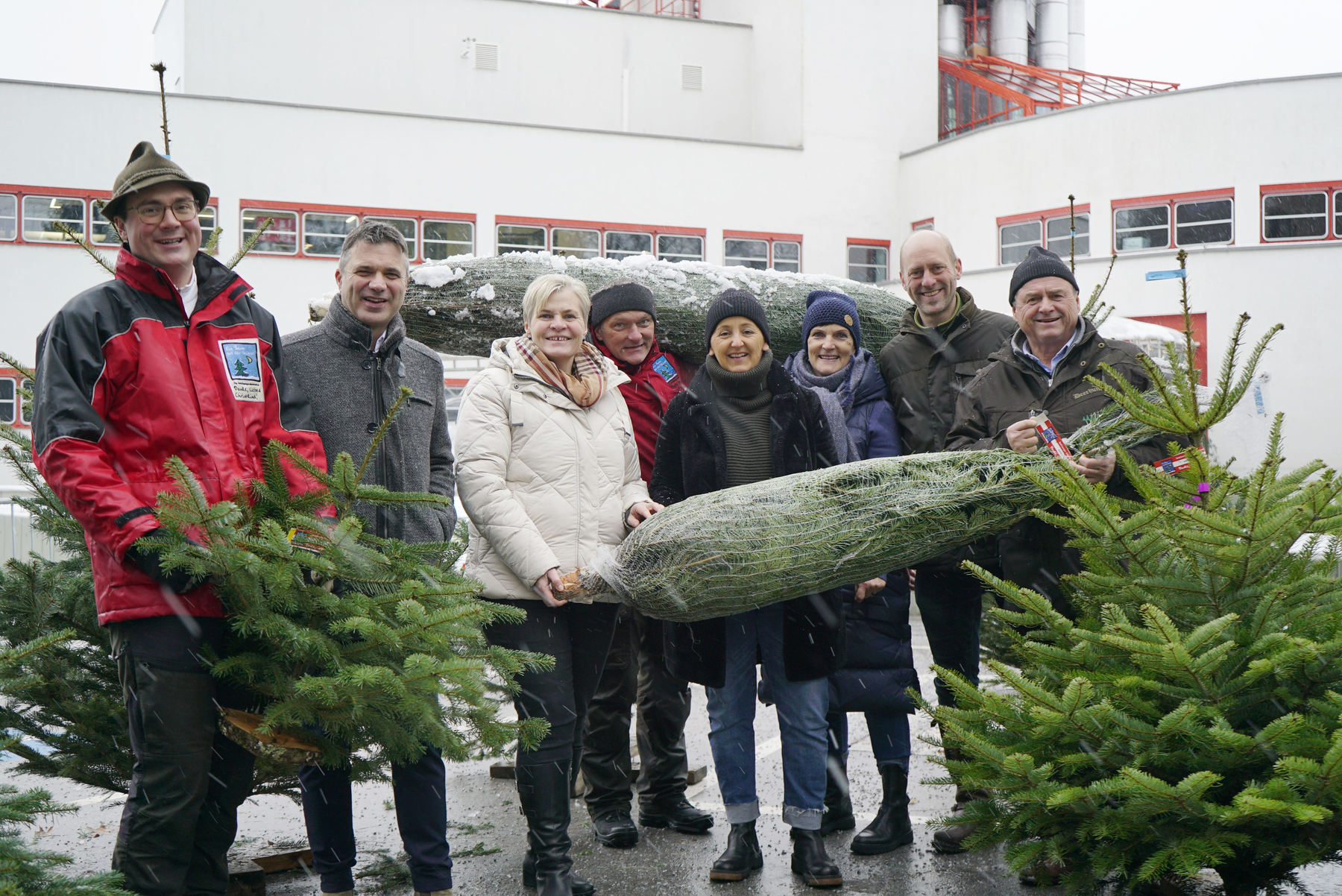 Christbaum ORF.jpg Christbaum ORF.jpg
