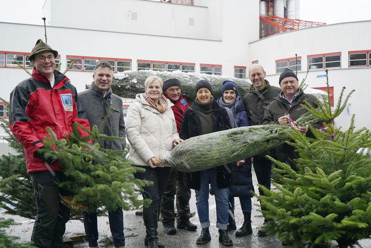 Christbaum ORF.jpg Christbaum ORF.jpg