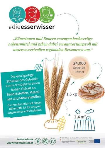 Infografik Getreide Infografik Getreide