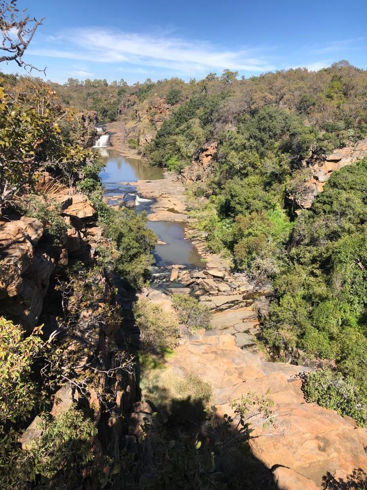 Weltbauernkongress 2023 in Südafrika Weltbauernkongress 2023 in Südafrika