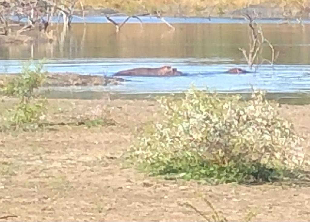 Weltbauernkongress 2023 in Südafrika Weltbauernkongress 2023 in Südafrika