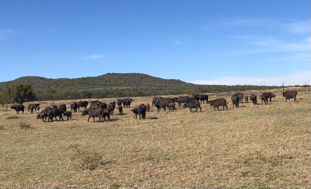 Weltbauernkongress 2023 in Südafrika Weltbauernkongress 2023 in Südafrika