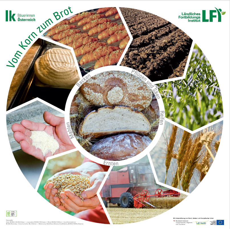 Legekreis-Plakat "Vom Korn zum Brot"