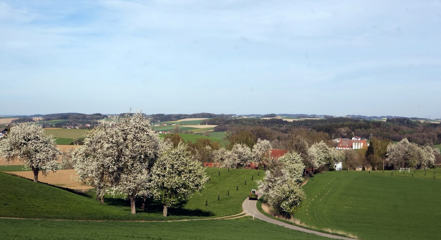 Streuobstwiesen.jpg Streuobstwiesen.jpg