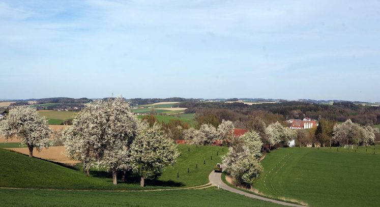 Streuobstwiesen.jpg Streuobstwiesen.jpg