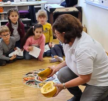 Aktionstage der Bäuerinnen Aktionstage der Bäuerinnen