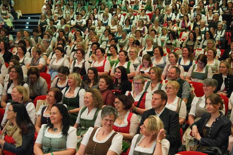 DSCF8137.jpg DSCF8137.jpg