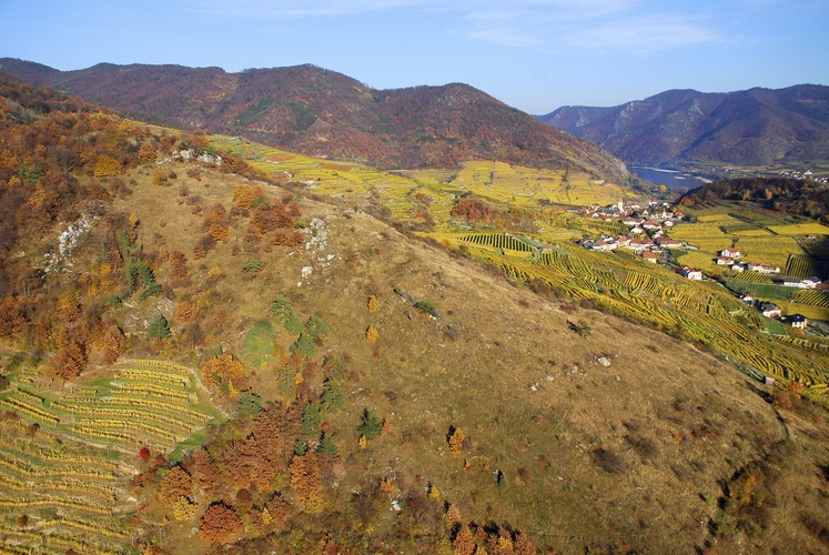 Wachau.jpg