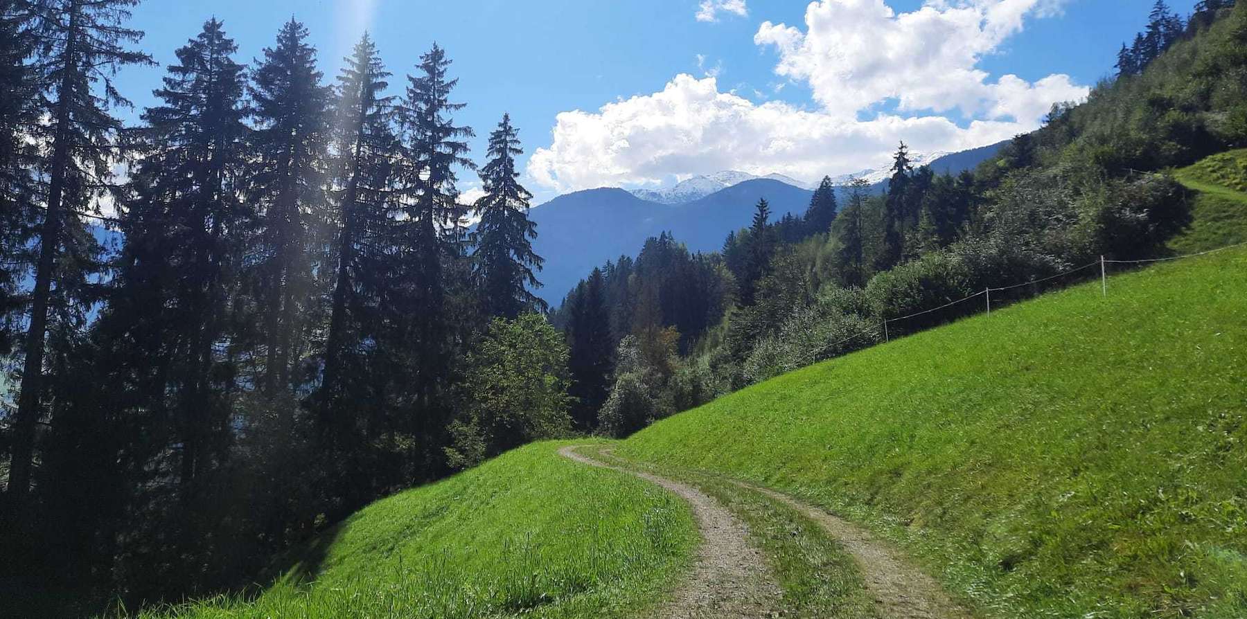 Wanderweg auf der Alm .jpg