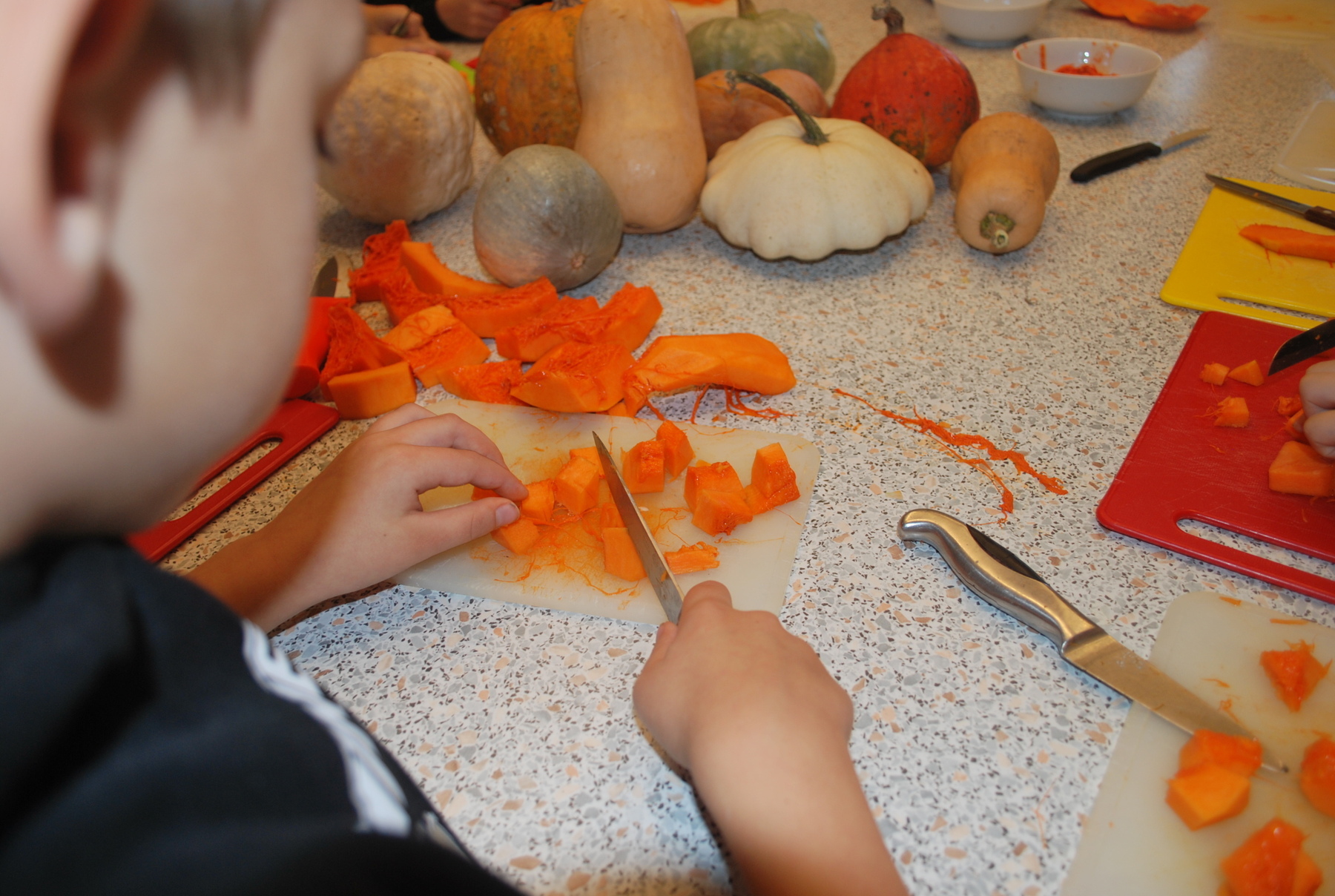 Schulaktionstag 2024 in der VS Retz  Die Praxisnähe und das (er)greifbare sind für Kinder der Primarstufe sehr wichtig. Freude und Spaß bei der Verarbeitung und der Verkostung hinterlassen nachhaltige Eindrücke. Deshalb wurde gemeinsam mit den Kindern eine köstliche Kürbissuppe zubereitet.  © LKÖ/Christina Löscher