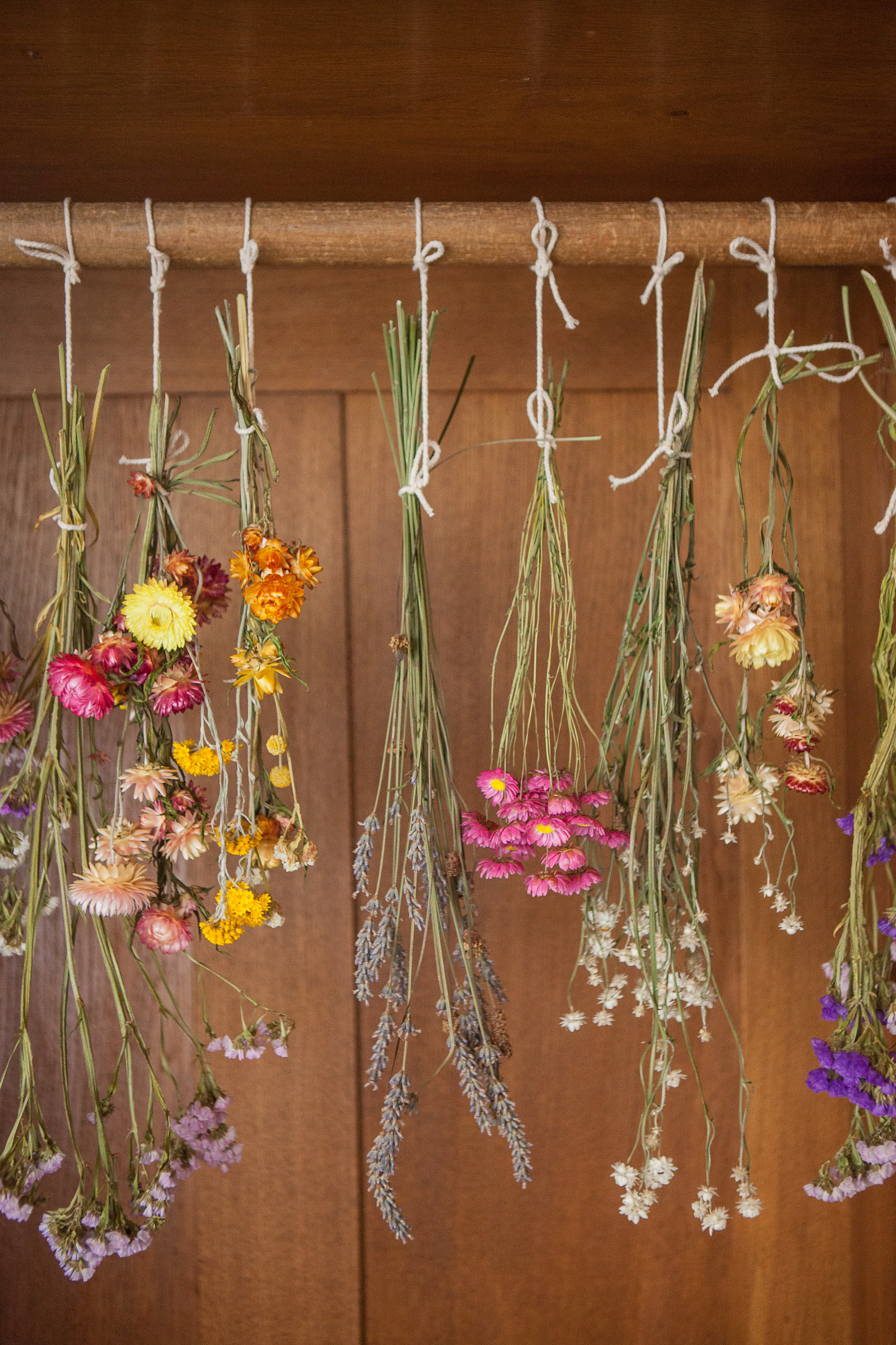 Trockenblumen von Brigitte Dörner.jpg
