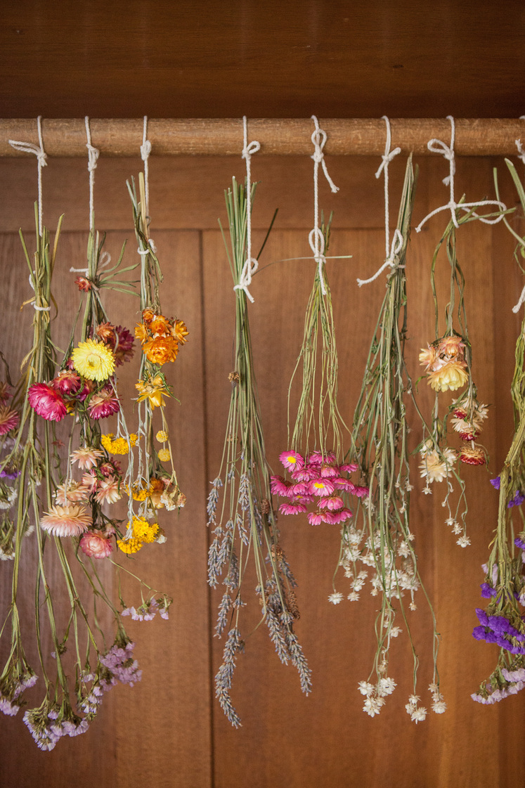 Trockenblumen von Brigitte Dörner.jpg