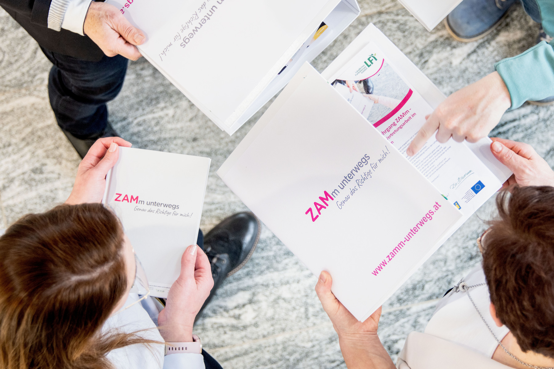 ZAMm NÖ.jpg ZAMm NÖ.jpg