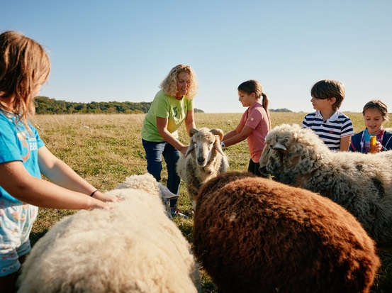 Wie Gesundheit von Mensch, Tier und Natur zusammenhängt © Ulrich Zinell