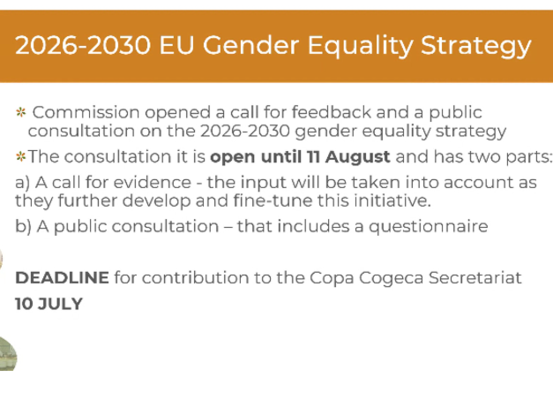 Screenshot Gender Equality Strategie der EU-Kommission © COPA Women Commitee