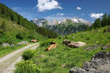Tirol Malfonalm 4 .jpg