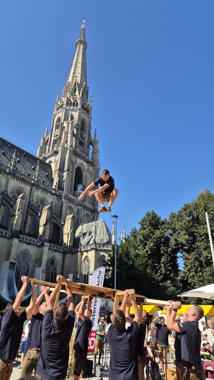 Hoch hinaus! © LK OÖ