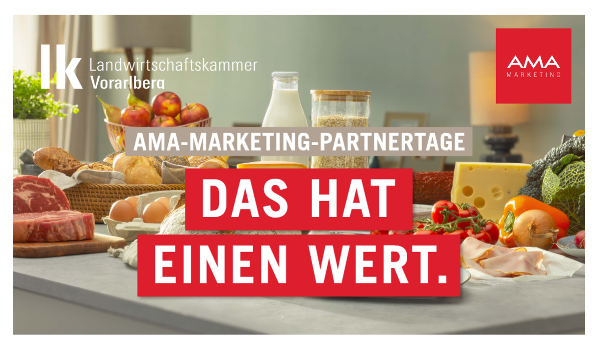 Partnertag Vbg Foto.png