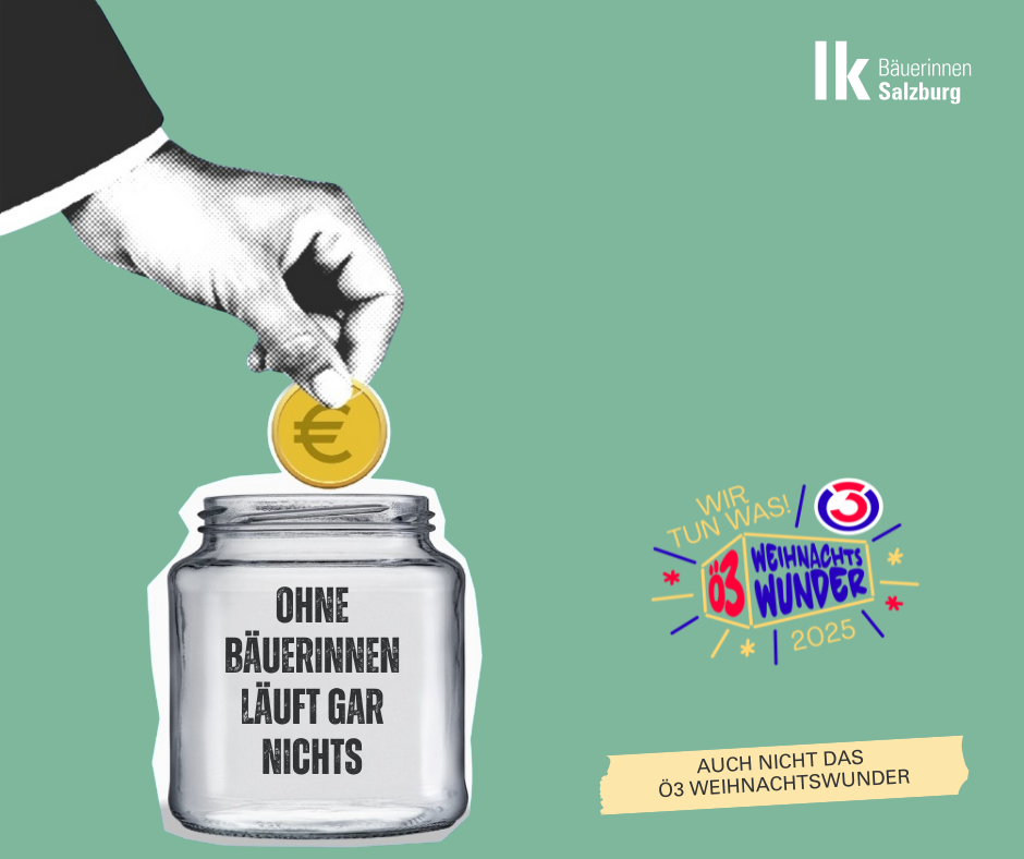 Ö3 Weihnachtswunder.png