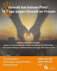 Gewalt hat keinen Platz! 16 Tage gegen Gewalt an Frauen .png