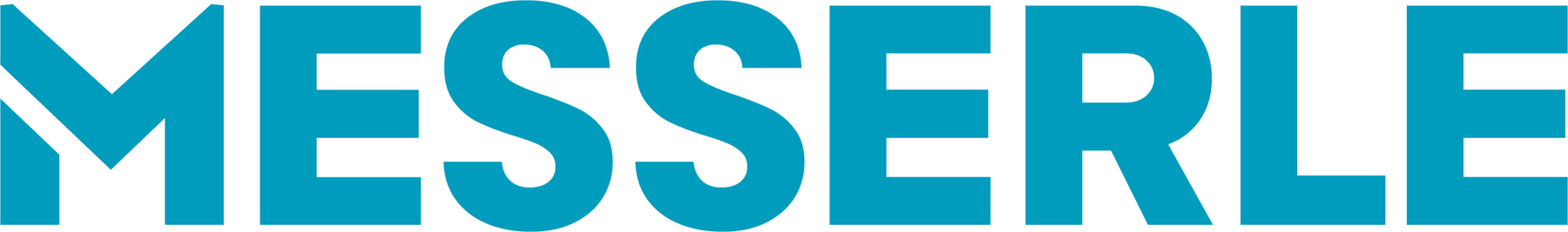 Logo Messerle.jpg