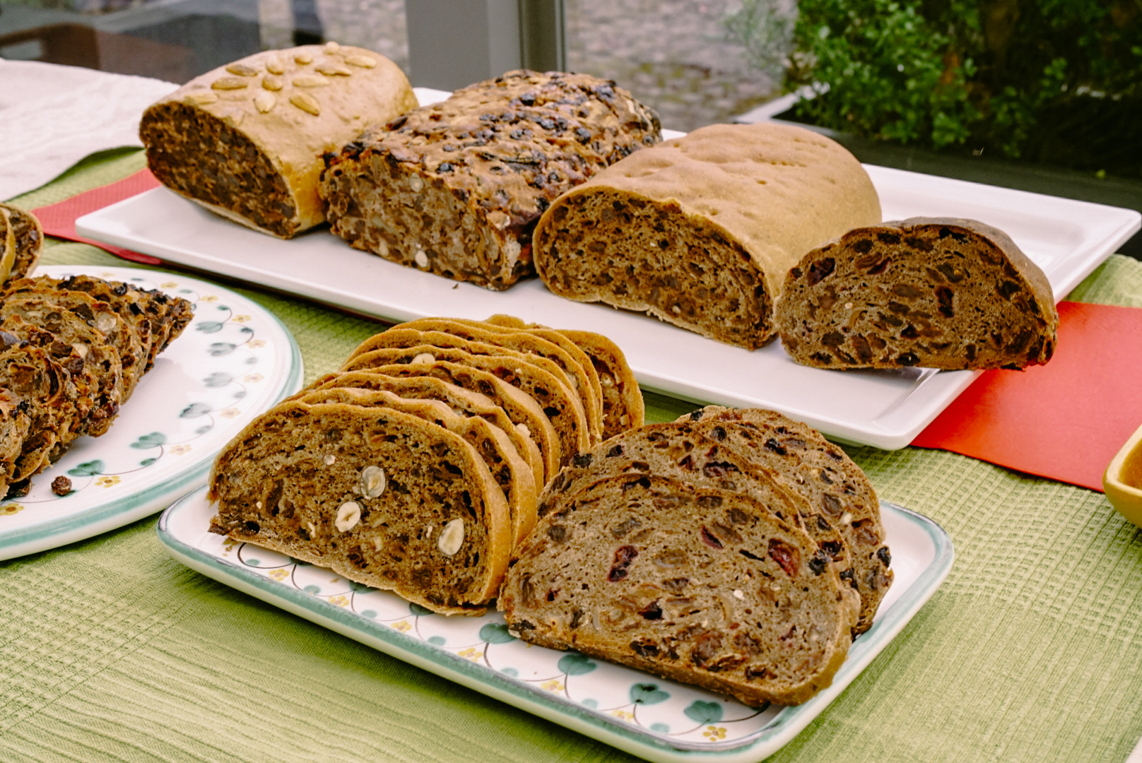 ORF Chrsitbaumaktion.jpg