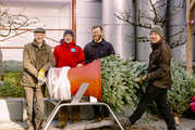 ORF Christbaumaktion.jpg