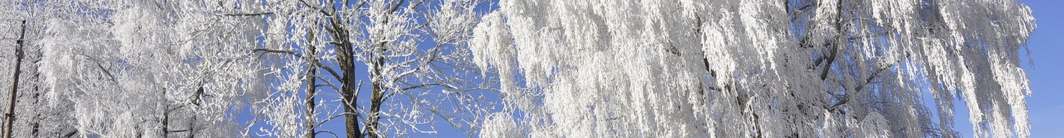 HEADER Über uns  - Winter 4 © Josef Reingruber