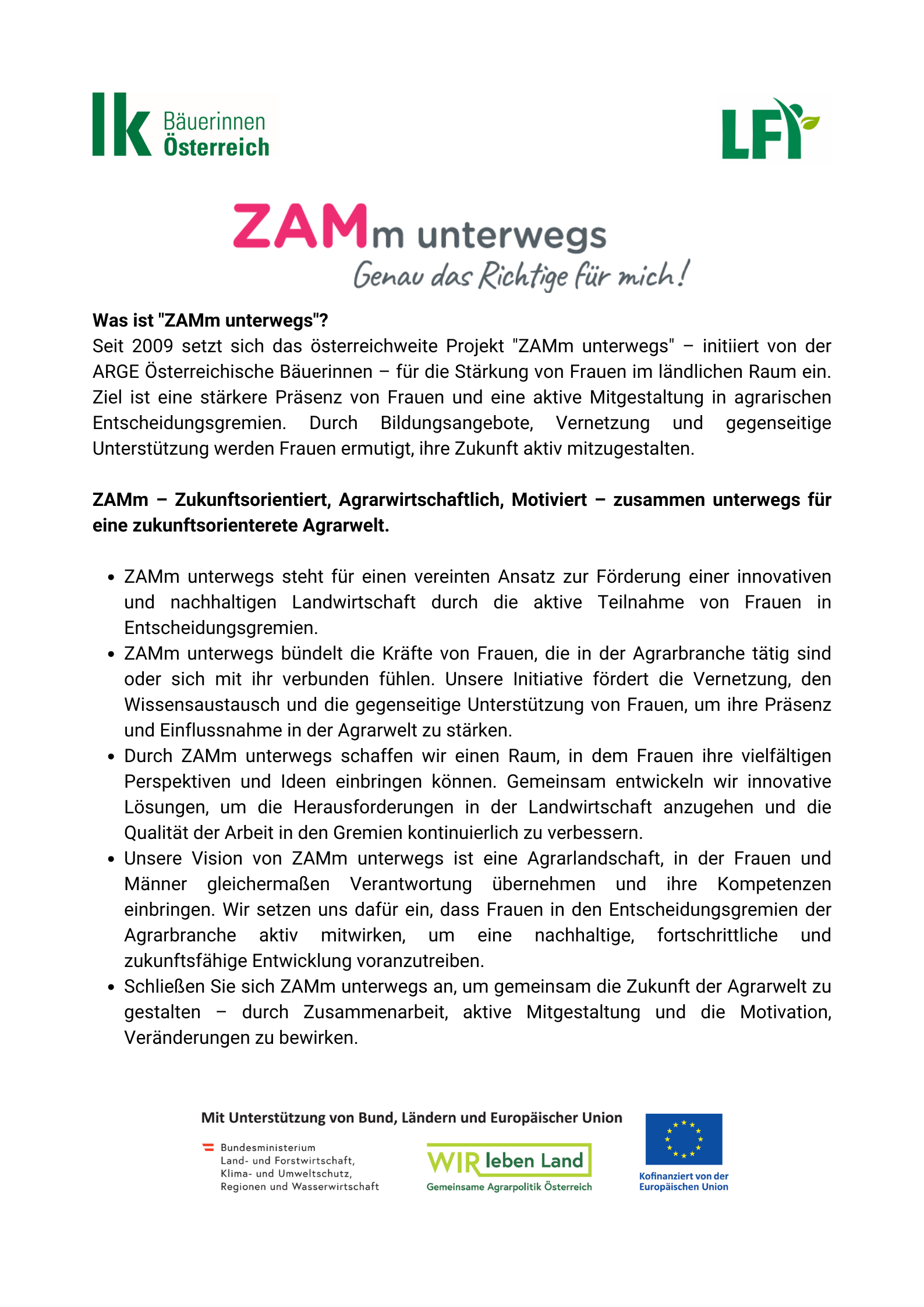 Förderhinweis ZAMm.png