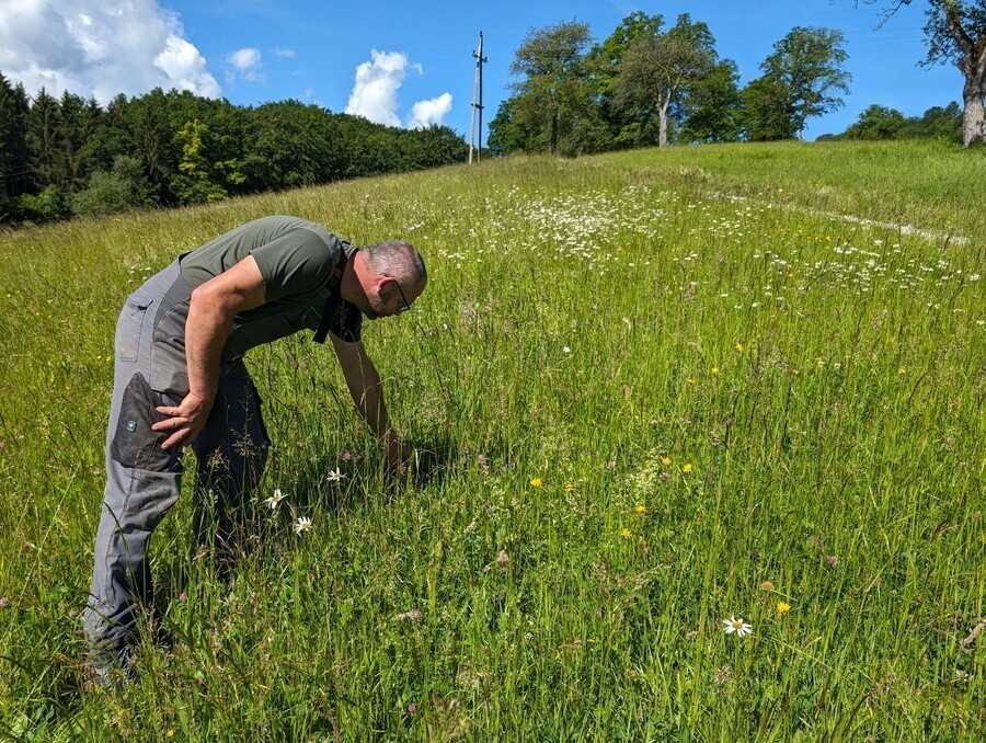 Biodiversitäts-Botschafter:innen für 2026 nominieren.jpg