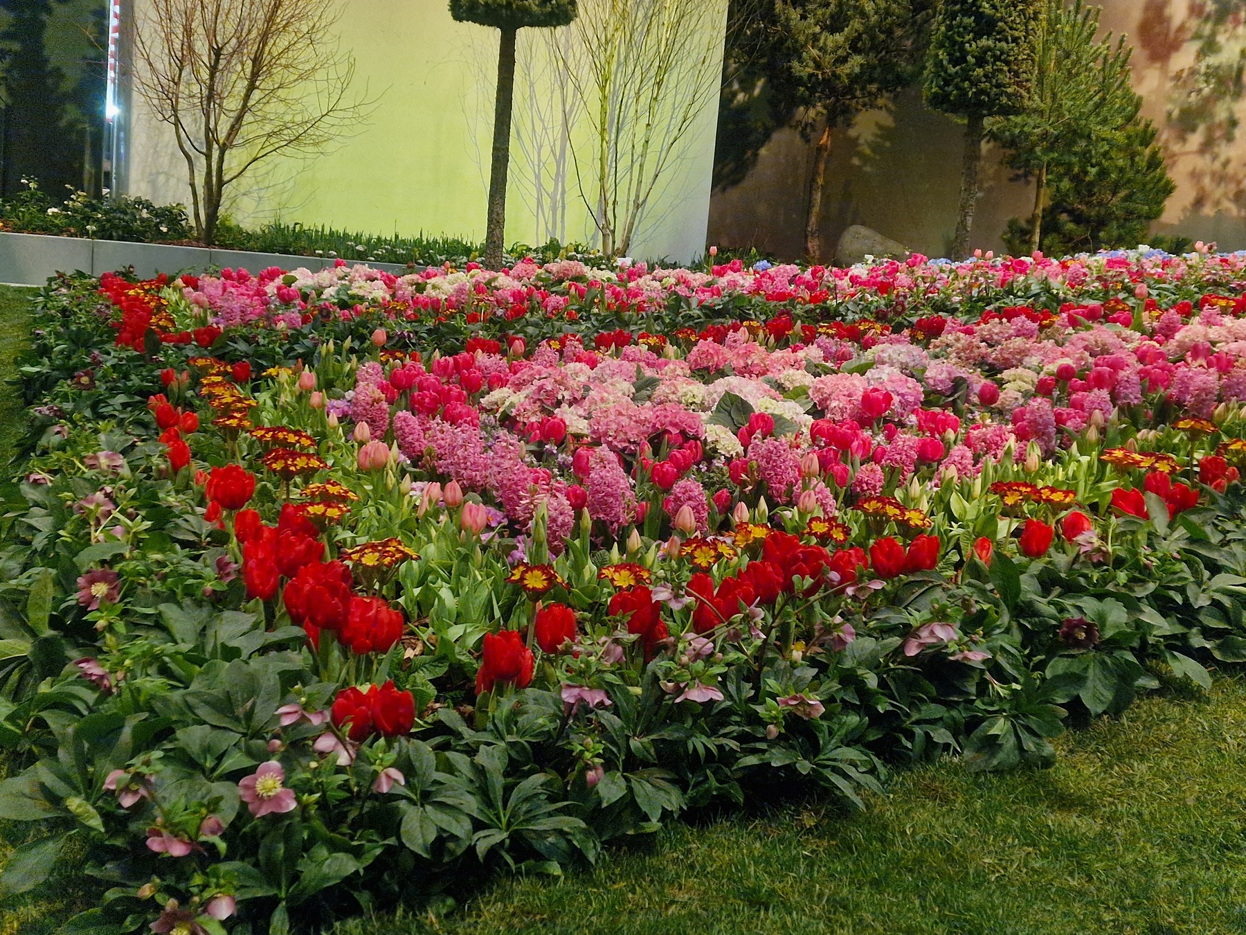 Bäuerinnen Österreich auf der Grünen Woche 2026 Eindrücke von der Grünen Woche 2026. © Parz/LK Kärnten