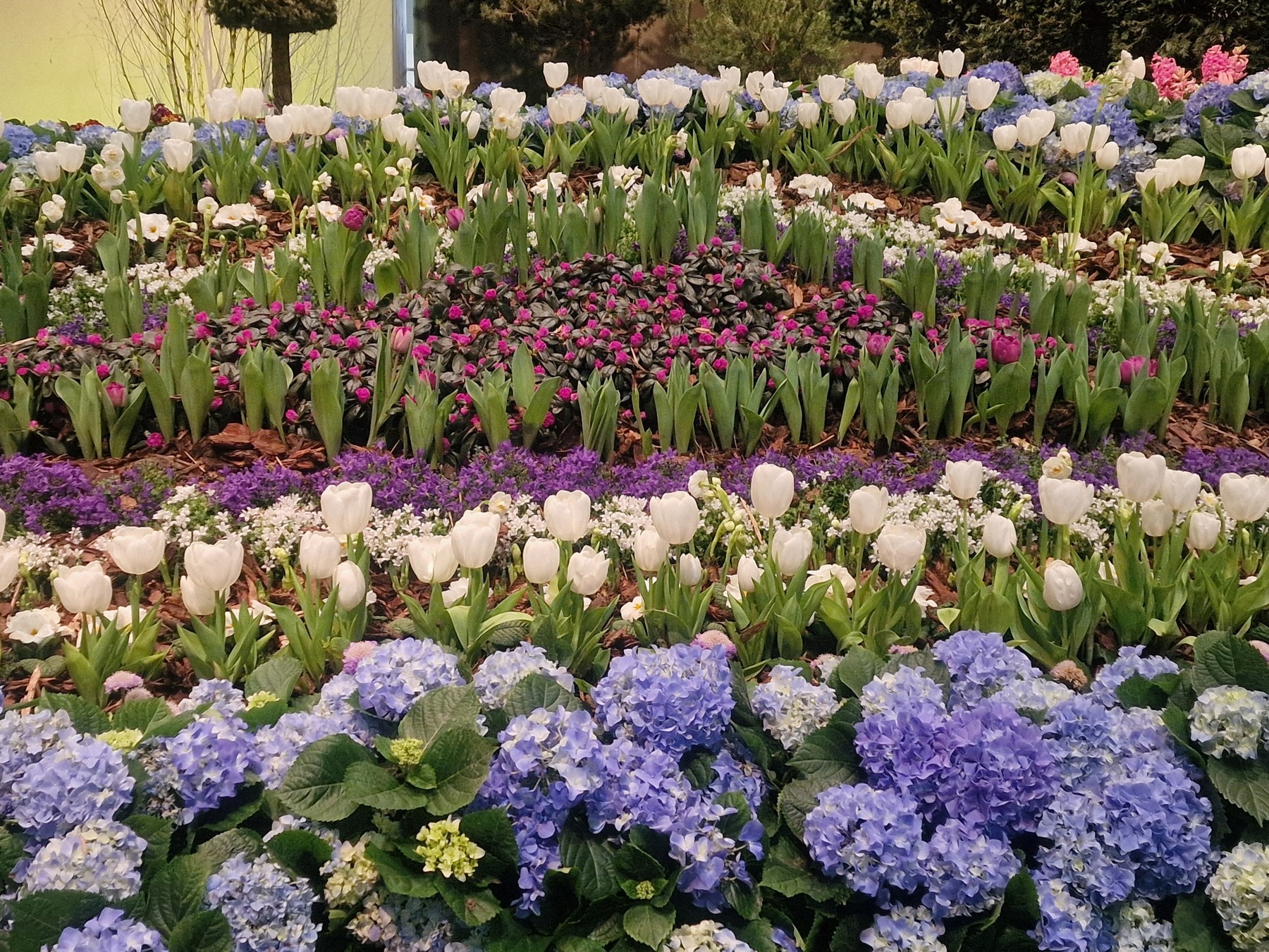 Bäuerinnen Österreich auf der Grünen Woche 2026 © Parz/LK Kärnten