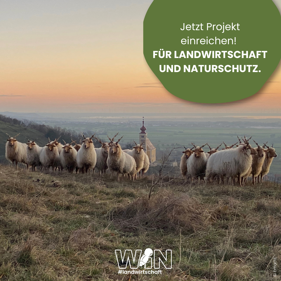 WIN#landwirtschaft-Ausschreibung .png