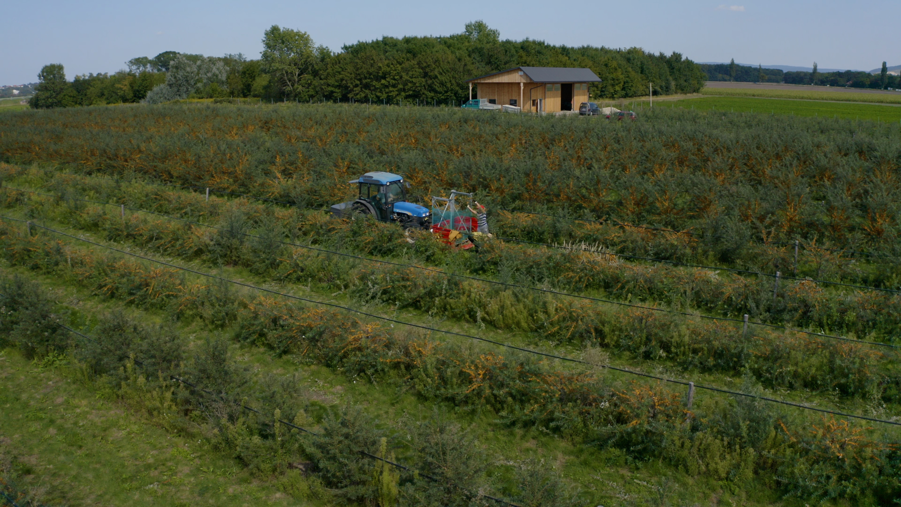 Drohne40 (c) Veronika Burik.jpg