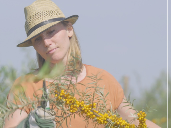 Bäuerinnen - Einblicke